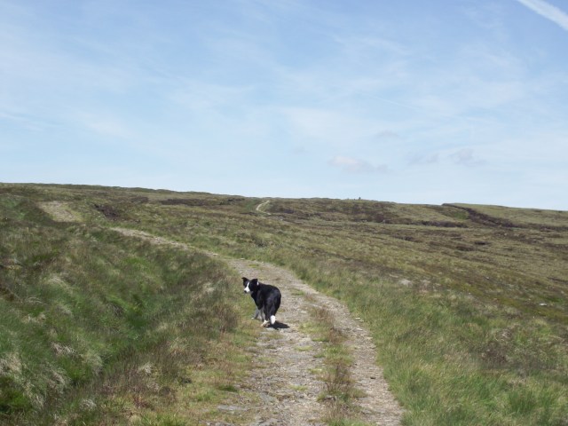 A steady and gradual ascent