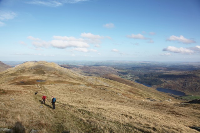 Downhill from the summit of Foel Goch (JB)