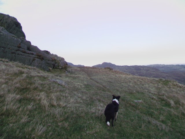 The light starts to go as the evening approaches