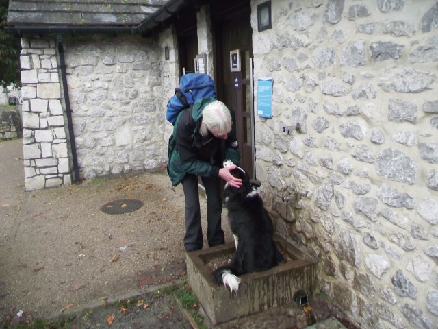 Bath time for ‘Mist’