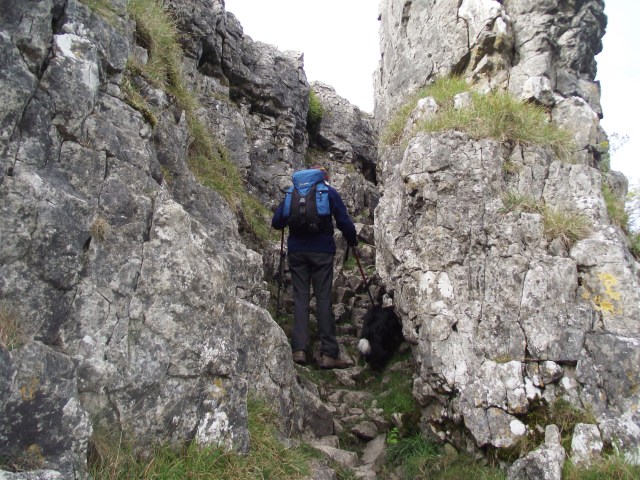 The cleft through the scar seen from below