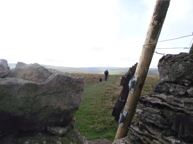 The high point at 490 metres