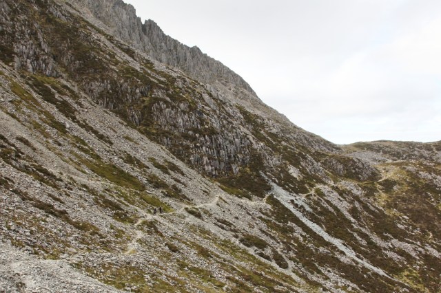 Close up of the Miners Track (JB)