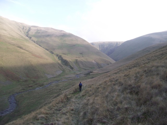 Carlin Gill – Quiet and lonely