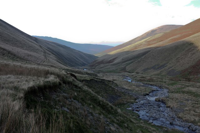 Looking back down Carlin Gill, from the junction with Small Gill (JB)