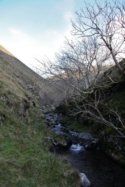 Carlin Gill getting more interesting (JB)