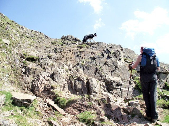 …. with occasional rock steps