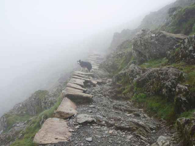 ‘Mist’ in the mist