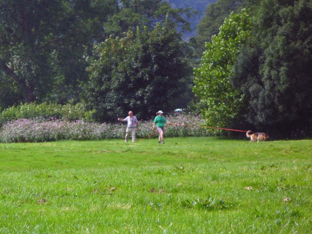 Sue sets off with Graded Search Dog Dog, ‘Nellie’ (SH)