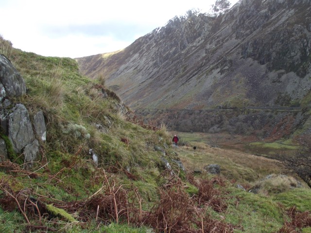 Geoff and ‘Bonny’ moving in for the find