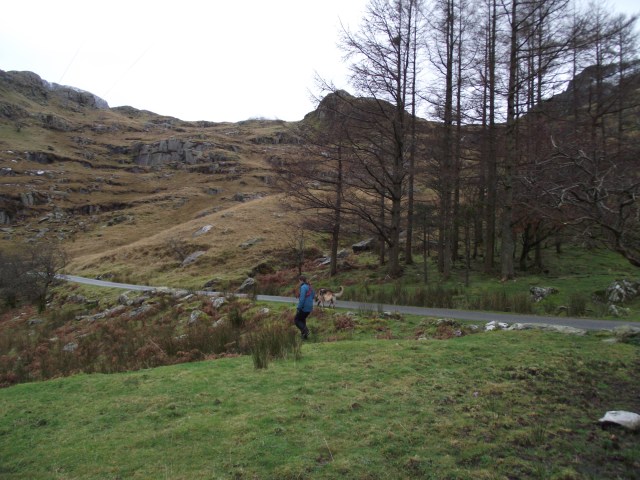 Sue and ‘Nellie’ set off for the last search of the day