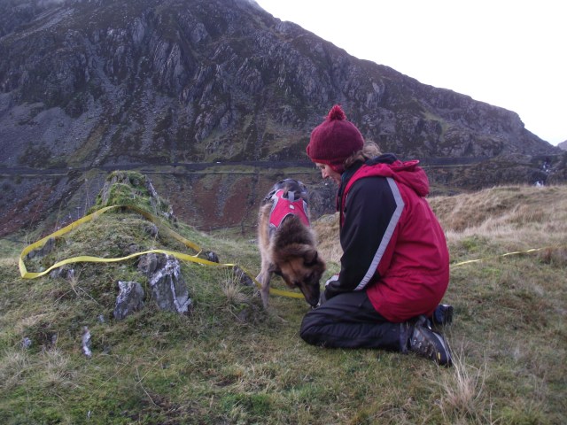 Sue gives ‘Nellie’ her reward ….