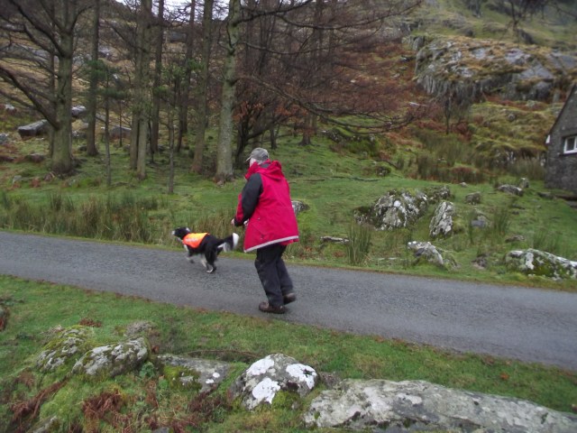 Roly and ‘Shadow’ on a short search