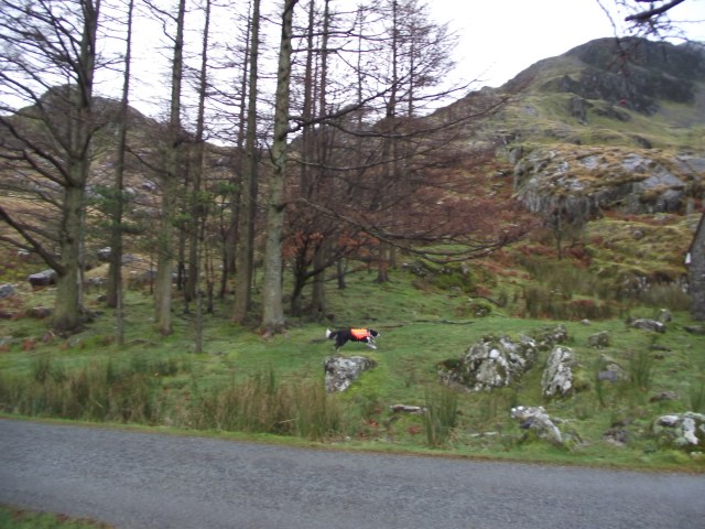 ‘Shadow’ closing in on the objective ….