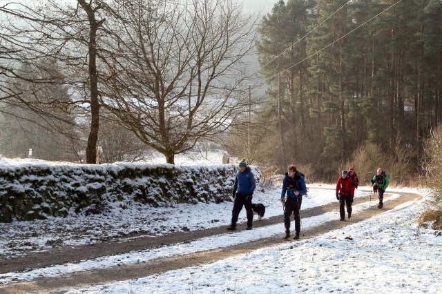 Beyond Bellingham on the way to the Cheviot Hills  (Spine)
