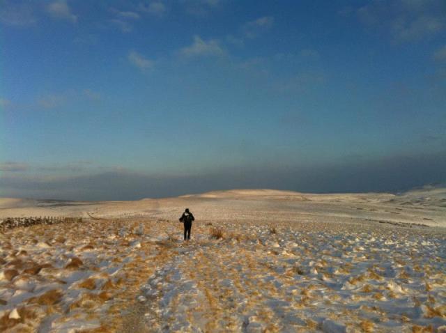 The Cheviots, the last sting in the tail!  (RL)
