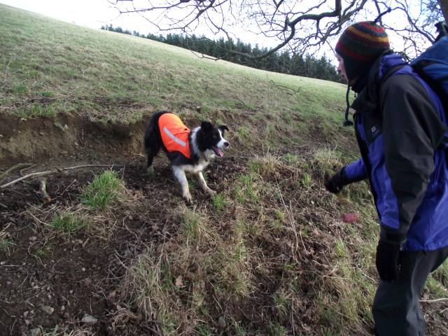 The reward for finding the body – a game with the ball