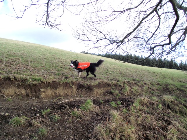 Enjoying the game with the ball