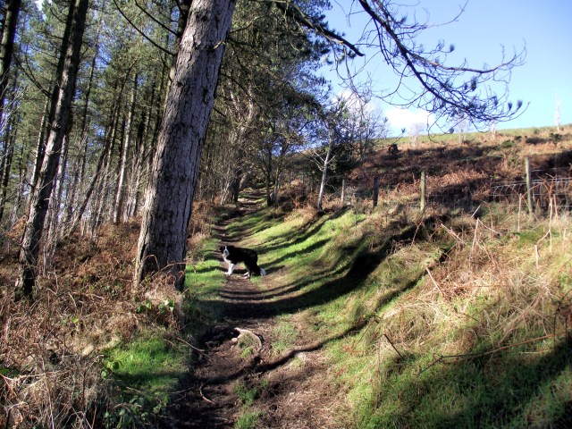 The Offa’s Dyke Path, heading north for Penycloddiau