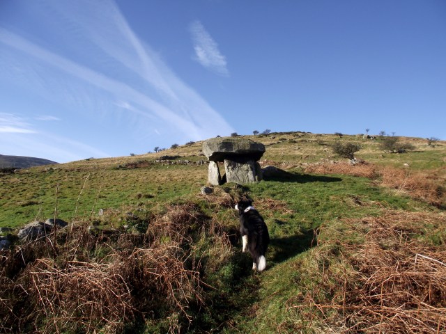 ‘Mist’ investigates the Maen y Bardd tomb