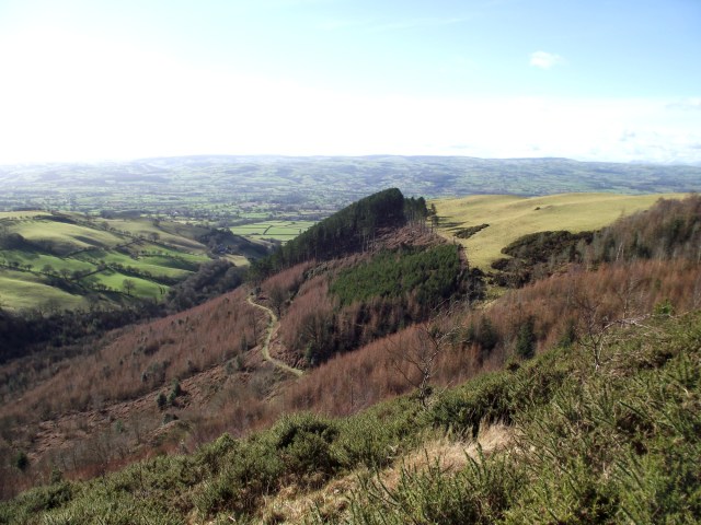 …. and looking down to the forest track that we followed later, on the way back