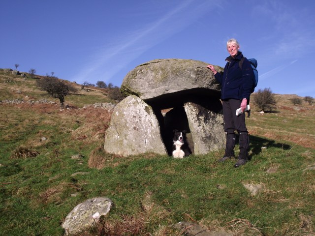 Just the right size for a dog kennel!