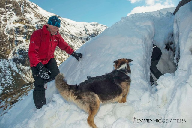 Finishing the snow hole, watched closely by ‘Cluanie’