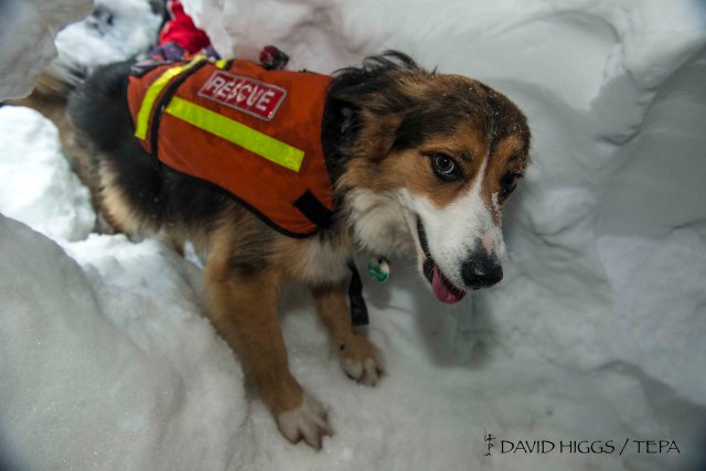 ‘Cluanie’ and a successful find