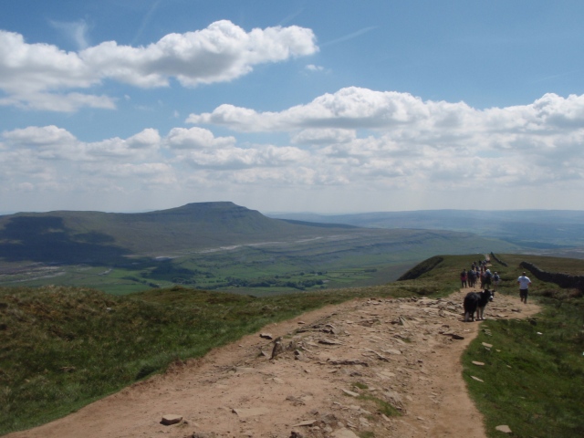 On the descent from Whernside, with Ingleborough waiting in the distance