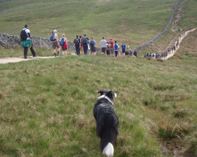 …. with Border Collie ‘Mist’ along, to make sure the humans didn’t stray