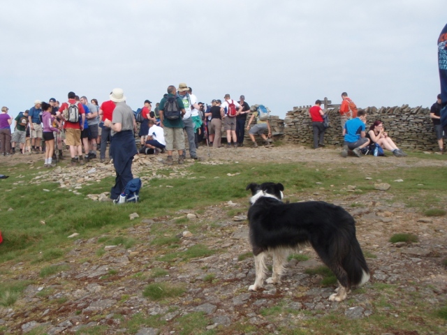 A busy day at the top, with ‘Mist' still keeping an eye on things