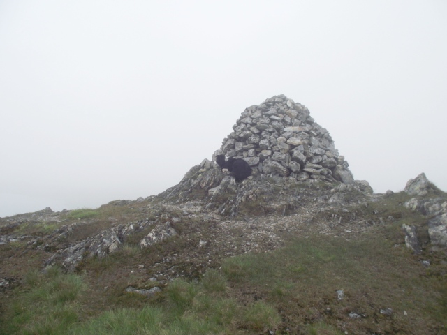 The summit cairn, Border Collie ‘Mist’ first to the top as usual