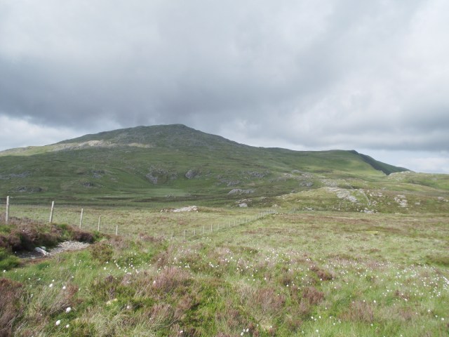 Looking back towards Aran Fawddwy