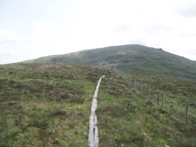 Wooden boardwalk across the worst of the bogs