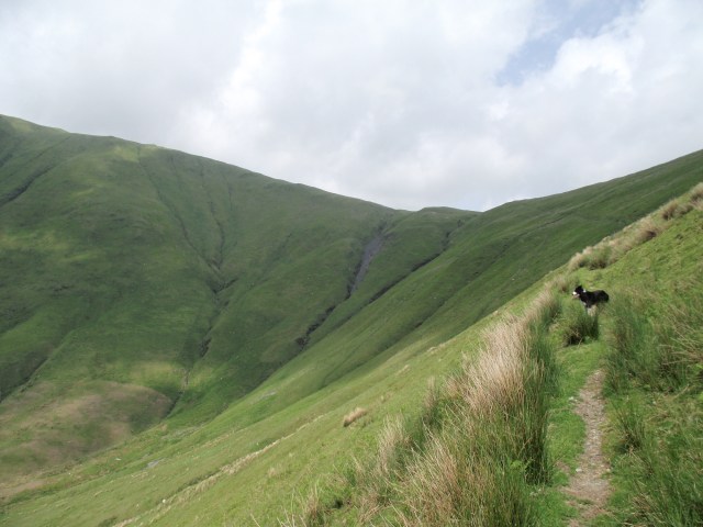 Heading towards the plateau ….