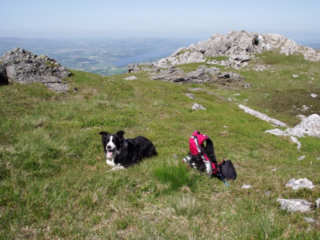 Companions for the trip – Border Collie ‘Mist’ and the lightest pack possible