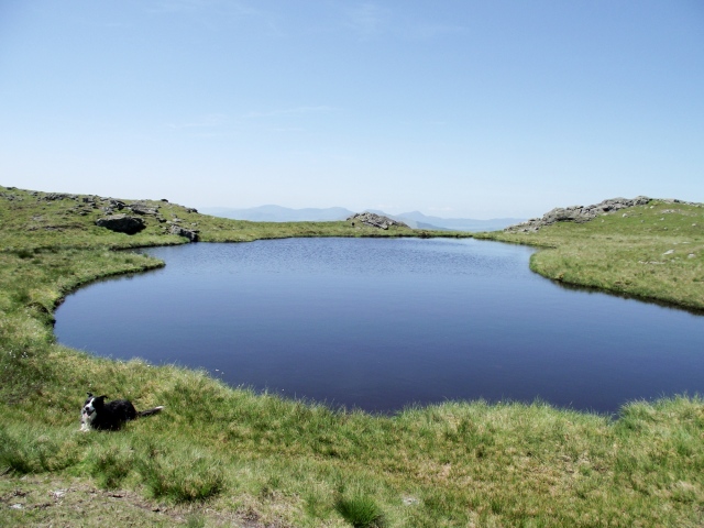The small lake of Llyn Pen Aran, just below the summit of Aran Benllyn