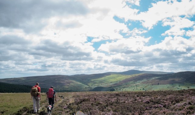 The Berwyn Hills (BB)