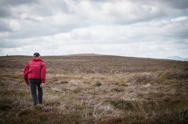 ‘Mist’ ranging across the moor (just right of centre) …. (BB)