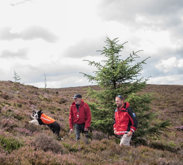 The reward for the dog is a game with the handler and ‘body’ (BB)