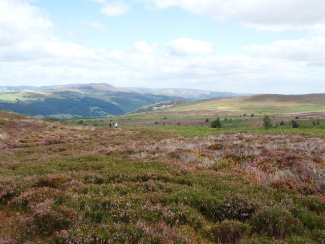 Typical Berwyn scenery