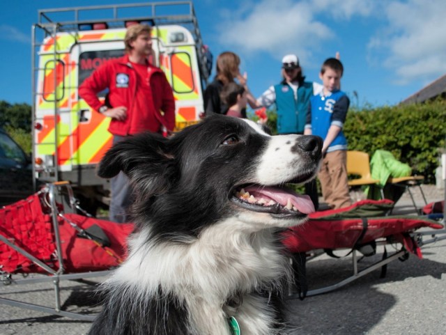 …. but all ‘Mist’ wants to do is go for a walk (BB)