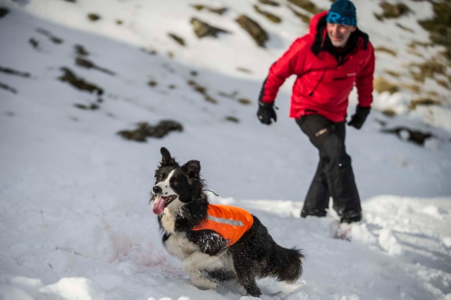 ‘Mist’ search training in Snowdonia (DH)