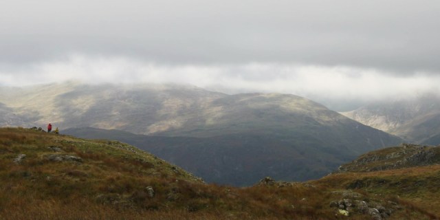 Big open spaces for the dogs and handlers (RA)