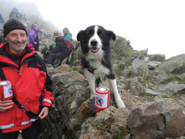 ‘Mist’ lends a hand (or paw!)  (MR)