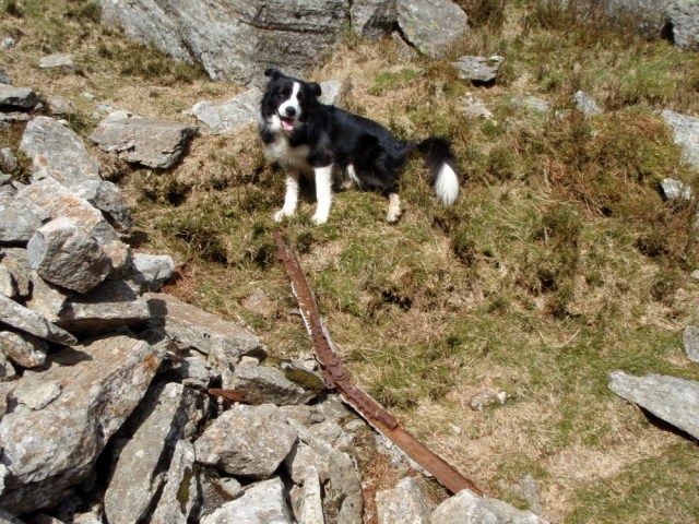 More aircraft wreckage in the gully