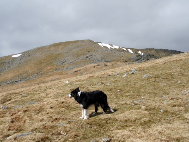 Above the crash site, heading for Carnedd Llewelyn
