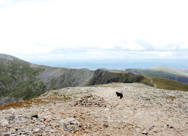 Heading towards the top of Ysgolion Duon