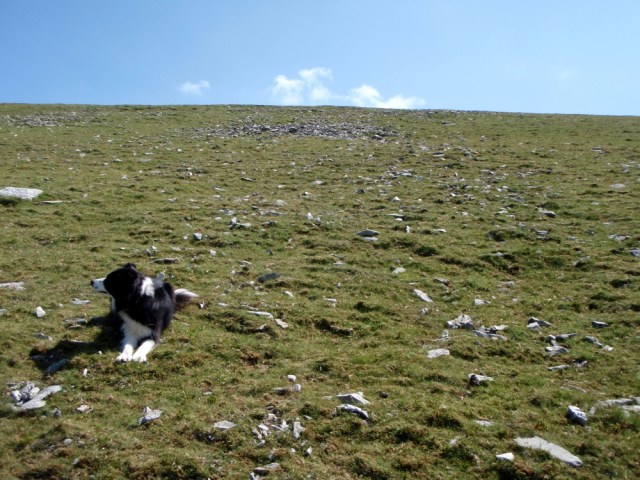 ‘Mist’ at the approximate location of the first impact