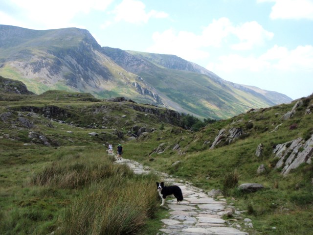 On the last leg for home